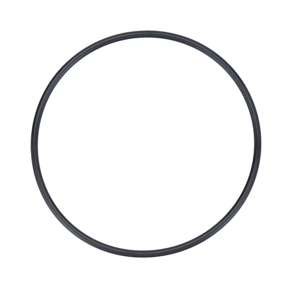 Hoshizaki O-Ring Jis G90 4A4755-04 - main